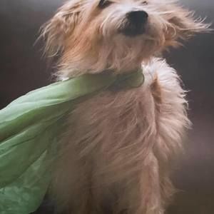 Meet your Posher, Kathy